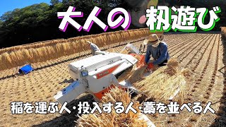 【2021稲作】#9　脱穀３日目　大人の籾遊び    Japanese harvesting of the rice