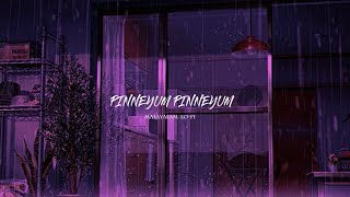 Pinneyum Pinneyum Lo-Fi Mix [Slowed + Reverb] | Krishnagudiyil Oru Pranayakaalathu | Malayalam Lofi