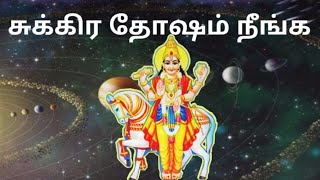 சுக்ர கிரக தோஷம் நீங்க என்ன செய்யலாம்?