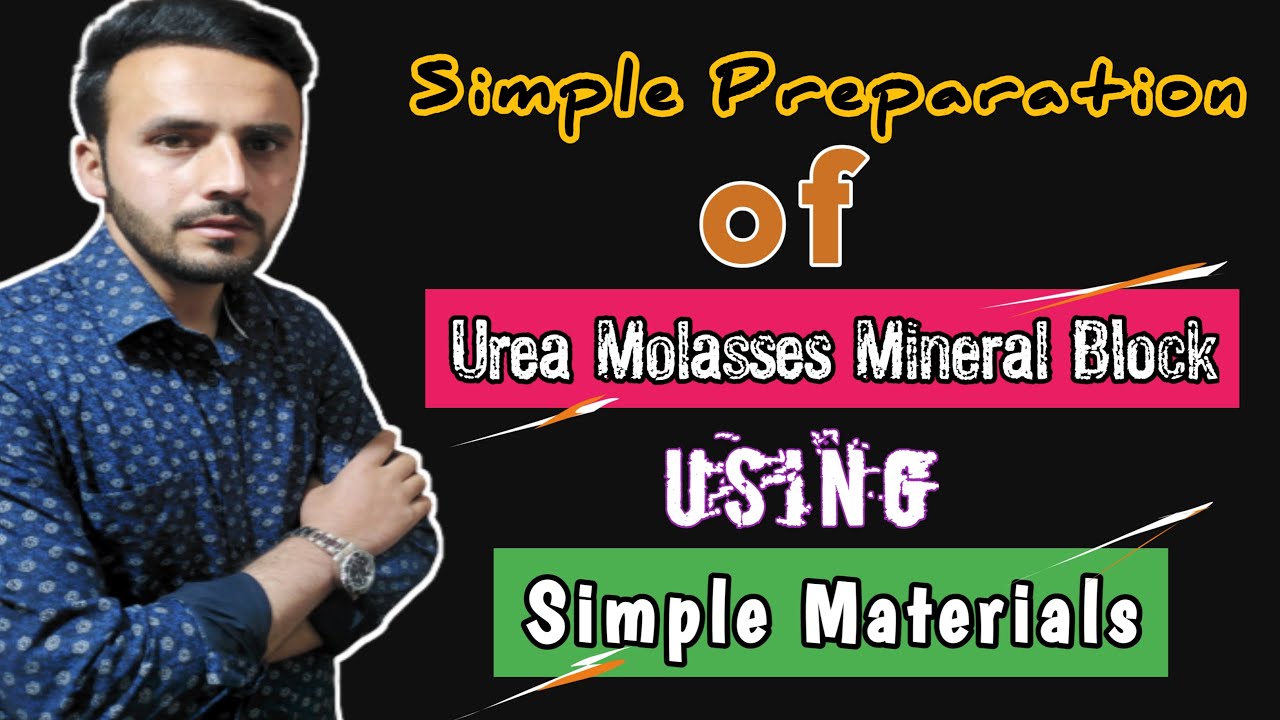 Urea Molasses Mineral Block Preparation / Making Urea Molasses ...