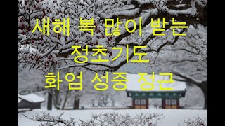 새해 복 많이 받는 정초기도 2 - 화엄성중 정근 1시간 (영인스님 독송)