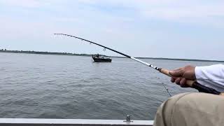 Vertical jigging for crappies; 2nd weekend- Rathbun 6-10-24 #veteran #iowa #travel #fishing #boat