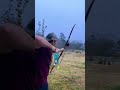 black widow psr 30 yards 👊🏻👊🏻👊🏻 traditionalarchery archery youtube youtubeshorts 2025