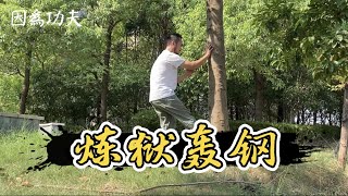 「涛涛不绝」高温38度，正是练拳时！