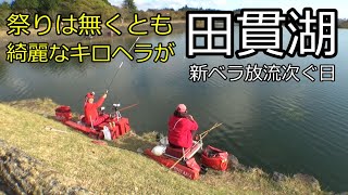 『田貫湖』ハイテンポな私とスローなヤマメ嬢　ドタバタ劇どうぞご覧ください