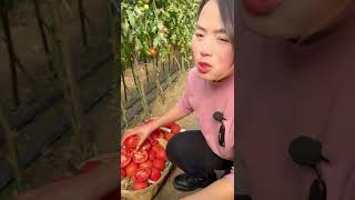 Beautiful Nature - Inspur Fresh Fruit wonderful video of  Industry #0391