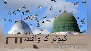 کبوتروں کا واقعہ PIGEONS STORY IMPORTANT STORY