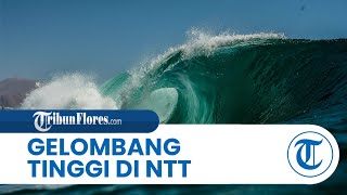 Waspada Angin Kencang dan Gelombang Tinggi di NTT, Dampak Siklon Tropis Zelia