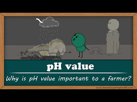 Why is pH important in living organisms?