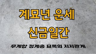 2023년 계묘년 / 신금일간 운세