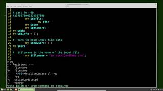 Vim (37) Registers pt2