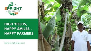 From Planting to Harvest - Achieving high Yields in Raw Banana farming with Spright Agro Limited