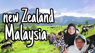 Jalan² Sabah (part VI) - Desa Dairy Farm #kundasang #sabah #ranau #desadairyfarm