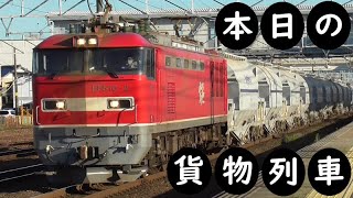 【本日の貨物列車】No.1150　2023,12,30　第5767番列車　Today‘s freight train