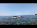 soft lapping waves u0026 clear water jeju island asmr