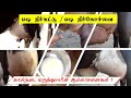 Udder edema | மடி நீர்க்கட்டு | Udder edema vs Mastitis | மடி நீர் கோர்வை | Treatment