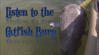 How to Burp a Catfish