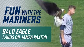 Seattle Mariners: Bald Eagle Lands on James Paxton