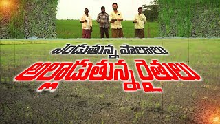 అందని సాగు నీరు -ఆందోళనలో రైతన్నలు | Water Not Released | Farmers Worried | Krishna Delta