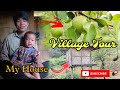 New Village Vlog | Explore My Home | Village Tour | Risen vlogs