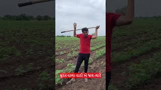 સુરત વાળા વાડી એ જાય ત્યારે... | #shots #dailyvlog #saurashtra #villagelife #pagalgujju2