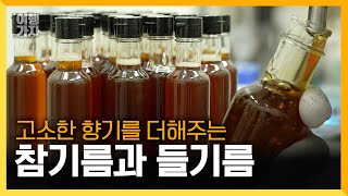 고소한 맛과 향기에 중독! 밥상 위의 신스틸러 참기름\u0026들기름 | 여행가자