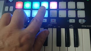 MPK mini pad клавитура  как настроит карждою кнопки каржою оделно  звука в FL STUDIO в ручной?