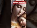 The Power of Virgin Mary #mary #catholicfaith #catholicchurch #CatholicSaints