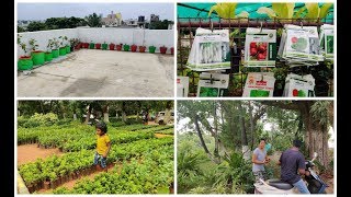 மாடித்தோட்டம் vlog/Maadithottam/ Best place to buy plants/Nursery to shop plants