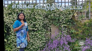 இங்கிலாந்தில் எங்கள் வீட்டுத் தோட்டம்/ Garden tour in Tamil - Home garden in England