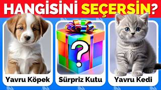 Hangisini Tercih Edersin?🤔 SÜRPRİZ Kutu Özel 🎁🐶🐱