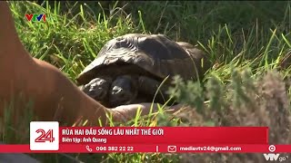 Rùa hai đầu sống lâu nhất thế giới | VTV24