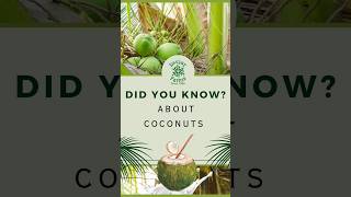 Nature's Dual Gift: Coconuts - Satisfying Hunger and Quenching Thirst! #coconutfarming