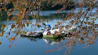 津久井湖城山公園・尾崎咢堂記念館　　秋を拾いに　2016・11・3   (4K)