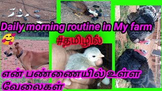 ஒருங்கிணைந்த பண்ணை|. Daily morning routine in my farm|.😊😍என் பண்ணையில் உள்ள வேலைகள்|.#sujithfarm.