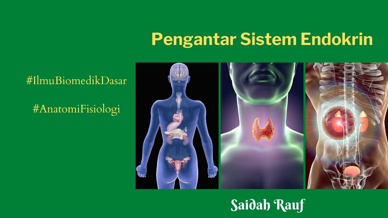 #Ilmubiomedikdasar #anatomifisiologi Struktur Dan Fungsi Sistem ...