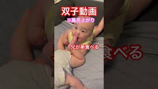 [双子動画]兄、弟食べる。# #kawaii #cute #双子 #食べる #食事 #ご飯 #子供 #赤ちゃん #兄弟#かわいい #shorts