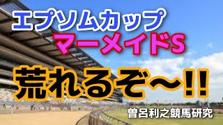 エプソムC　マーメイドS　荒れますよ!!