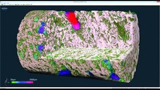 SkyScan 1275 - Automated microCT