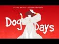 Florence & The Machine - Dog Days Are Over (Dubdogz, Brannco, Rodrigo Luca & Izabelle Remix Cover)