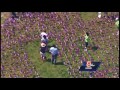 American flags planted on Boston Common