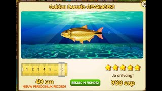 GOLDEN DORADO 5* - FISHAO