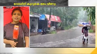 കുട്ടമ്പുഴ പഞ്ചായത്തിലെ ഉരുളൻതണ്ണി - കൊച്ചു ക്ണാച്ചേരി റോഡിനു കുറുകെ കൂറ്റൻ മരം കടപുഴകി വീണു