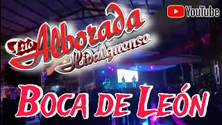 🎻 ALEGRANDO LA SIERRA | Trío Alborada Hidalguense en Boca de León 🦁 🎻🤠