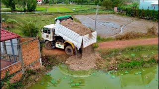 Full Video New Project !! 5-T Dump Truck Unloading \u0026 Dozer  Pushing Soil Into  Clearing Small Pond