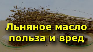 Льняное масло польза и вред.