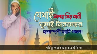 যেথায় আমার প্রিয় নবী ঘুমায় নিরন্তর