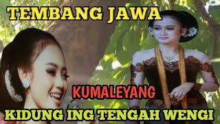 TEMBANG JAWA KIDUNG ING TENGAH WENGI !!!