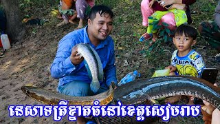 ការនេសាទត្រីឡើងមាឃ ឬឡើងអ្នកតា ជាប្រពៃណៃពីបុរាណមក/ Siem Reap, harvest fishing season, Local farm