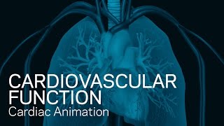 Cardiovascular Function - Cardiac Animation